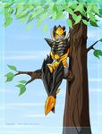  avian beast_wars black falcon female green_eyes machine markings maximal mechanical melissa_dehaan robot sitting solo transformers tree violet_body wings wood 