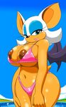  big_breasts bikini breasts clothed clothing female mammal navel nipples pool rouge_the_bat sega shine skimpy smile solo sonic_(series) speeds swimsuit water wings 