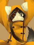  absurdres animal animal_ears arc_system_works blazblue cat cat_ears cat_tail furry highres jubei_(blazblue) tail 