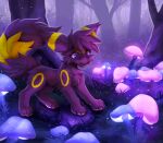 arm_tuft brown_body brown_fur brown_hair brown_nose canid canine cheek_tuft claws clenched_teeth colored digital_drawing_(artwork) digital_media_(artwork) eeveelution elbow_tuft eyebrows facial_tuft fan_character fangs female feral fluffy fluffy_chest fluffy_hair fluffy_tail forest forest_background fungus fur fur_markings generation_2_pokemon glowing glowing_eyes glowing_fungus glowing_mushroom grass hair happy hi_res joeumbre mammal markings mushroom nature nature_background neck_tuft nintendo pawpads plant pokemon pokemon_(species) purple_eyes rita_(joeumbre) rock short_hair smile solo standing tail teeth teeth_showing text tree tuft umbreon watermark yellow_body yellow_fur
