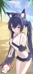  1girl absurdres animal_ear_fluff animal_ears bare_shoulders beach bikini black_bikini black_hair blue_archive blue_ribbon blush breasts cat_ears cat_girl cleavage clenched_hand collarbone commentary covering_breasts covering_privates cowboy_shot crossed_bangs day doodle_sensei_(blue_archive) extra_ears frilled_bikini frills hair_between_eyes hair_intakes hair_ribbon halo halterneck hand_up highres leaning_forward long_hair medium_breasts nammmmer navel ocean off-shoulder_bikini off_shoulder official_alternate_costume open_mouth outdoors palm_leaf pink_halo pink_pupils pov red_eyes ribbon sensei_(blue_archive) serika_(blue_archive) serika_(swimsuit)_(blue_archive) shy sidelocks slit_pupils solo spoken_character stomach straight_hair sunlight swimsuit thigh_gap thighs thumbs_up tsurime twintails very_long_hair wet 