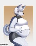 absurd_res anthro belly big_belly big_butt black_nose breasts butt canid canine canis clothing female fur grey_body grey_fur hair hair_over_eyes hi_res inflation mammal navel overweight plus-sized_elf pregnant pregnant_anthro raika_(plus-sized_elf) solo tail thick_thighs white_body white_fur wolf