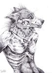  canine greyscale mammal monochrome plain_background skeleton sketch solo ulvehunden undead white_background wolf zombie 