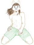  anthro bulge bundadingy canine clothing commission dingo dog koosh-ball looking_at_viewer male mammal mullet pinup pose shorts sketch solo steggy suggestive 