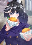  1girl absurdres animal_ears bbreaad black_hair blue_coat blue_eyes blush buttons coat commentary_request double-breasted ear_covers eating food food_in_mouth hair_between_eyes hair_ornament highres holding holding_food horse_ears horse_girl jacket katsuragi_ace_(umamusume) long_hair long_sleeves looking_at_viewer multicolored_hair outstretched_arm ponytail purple_serafuku reaching reaching_towards_viewer school_uniform serafuku shirt smile solo streaked_hair tassel tassel_hair_ornament tracen_school_uniform tracen_winter_coat umamusume upper_body white_hair winter_clothes winter_coat winter_uniform 