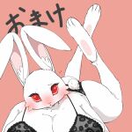 1:1 2023 anthro big_breasts biped blush breasts butt female hi_res japanese_text kagura_0471 lagomorph leporid looking_at_viewer lying mammal monotone_background on_front rabbit red_eyes solo text tongue tongue_out