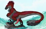 animal_genitalia anus black_claws claws dakotaraptor detox_(detoxtheraptor) dinosaur dromaeosaurid erection feathers feral genital_slit genitals grey_body grey_feathers grin hi_res looking_at_viewer male male_feral orange_sclera owishka penis pink_penis prehistoric_species red_body red_eyes red_feathers reptile rock saurischian scalie sharp_teeth smile solo tail teeth theropod water wave