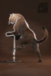  3d_(artwork) animal_genitalia anthro anus backsack balls brown_balls brown_sheath butt chair cosmiclife cougar detached_sheath digital_media_(artwork) feline feline_sheath feral fur hi_res hunter_(cosmiclife) looking_at_viewer male mammal paws pinup pose raised_tail realistic semi-anthro solo spread_legs spreading stool whiskers 