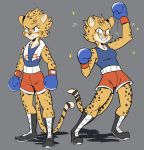  2018 anthro ash_(beezii) athletic band-aid bandage beezii boxing boxing_gloves breasts cheetah clothed clothing digital_media_(artwork) duo feline female frown fur grey_background looking_at_viewer mammal simple_background sketch_page smile sparkles sport spots spotted_fur standing sweat sweatdrop teeth towel 