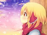  bad_id bad_pixiv_id blonde_hair profile red_eyes red_scarf rumia scarf shinekalta short_hair solo touhou upper_body winter 
