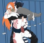  accelo_(character) anal anal_penetration balls bite crossdressing cum cum_in_ass cum_inside eyes_closed feline gay girly leopard lifting locker_room lockers male mammal panties penetration penis revert schoolgirl sex snow_leopard stand_and_carry_position standing underwear uniform 