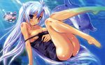  animal cal_ruslan cleavage dolphin komatsu_eiji long_hair school_swimsuit shirogane_no_cal_to_soukuu_no_joou swimsuit underwater 