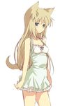  animal_ears arched_back bare_shoulders bow breasts brown_hair cat_ears dress frilled_dress frills green_eyes halterneck long_hair mamecchi neko_no_wakusei original small_breasts solo tail 