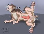 2023 4_toes animal_genitalia animal_penis artist_name balls big_balls big_penis biped_to_quadruped black_claws black_lips black_nose bodily_fluids breath brown_body brown_fur brown_hair canid canine canine_genitalia canine_penis canis cheek_tuft claws countershading denrir dewclaw ears_back erection eyes_closed facial_tuft fangs feet feral flat_colors fur fur_growth genitals growth hair hair_to_fur hands_to_paws head_back hi_res human human_to_feral inner_ear_fluff knot knotted_penis lips lying male mammal mid_transformation motion_lines multicolored_body multicolored_fur nude nude_human nude_male on_side onomatopoeia open_mouth pained_expression panting pawpads paws penis pink_pawpads pink_penis pivoted_ears raised_leg saliva shadow sharp_teeth signature simple_background snout snout_growth solo sound_effects species_transformation spread_legs spreading tail tail_growth tan_body tan_fur teeth text throbbing throbbing_penis toe_claws toes tongue transformation tuft whisker_spots wolf