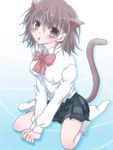  animal_ears bad_id bad_pixiv_id brown_eyes brown_hair cat_ears hiro_(hirohiro31) misaka_mikoto school_uniform short_hair sitting solo tail to_aru_kagaku_no_railgun to_aru_majutsu_no_index wariza 