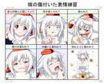  animal_ears bruise closed_eyes crying fangs hat highres injury inubashiri_momiji leaf no_hat no_headwear sachishiro_pengin sad seppuku smile suicide tears tokin_hat touhou translated wavy_mouth white_hair 