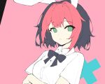  1girl animal_ears black_bow black_bowtie black_hair bow bowtie breasts closed_mouth collared_shirt colored_bangs commentary english_commentary frown green_eyes looking_at_viewer medium_breasts osu! pink_background pink_hair pippi_(osu!) rabbit_ears shirt short_sleeves simple_background solo tofumang upper_body white_shirt 