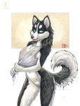  anthro blue_eyes bottomless breasts canine dog female husky kacey looking_at_viewer mammal nipples pussy solo translucent wet wet_shirt wet_t-shirt 