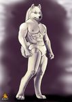  anthro biceps canine clothed clothing male mammal muscles pecs pose skimpy solo ultrafox underwear wolf 