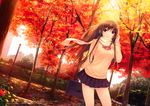  absurdres autumn bag bangs brown_eyes brown_hair coffee-kizoku cowboy_shot dutch_angle hair_tucking highres huge_filesize light_smile long_hair long_sleeves looking_at_viewer miniskirt original outdoors pleated_skirt scarf school_bag skirt solo sweater tree 