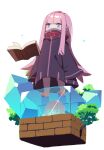  1girl 2girls batsuma blue_eyes blunt_bangs book brick collared_robe commentary_request crystal floating floating_book floating_object highres long_hair long_sleeves multiple_girls open_book oversized_clothes pink_hair pointy_ears re:zero_kara_hajimeru_isekai_seikatsu ryuzu_meyer sidelocks standing tree white_background 