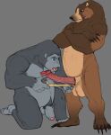 2026 5_fingers 5_toes absurd_res anatomically_correct anatomically_correct_genitalia anatomically_correct_penis animal_genitalia animal_penis anthro ape arm_markings aroused balls bear belly big_balls big_penis biped blue_eyes brown_arms brown_bear brown_body brown_claws brown_ears brown_feet brown_fur brown_hands brown_legs brown_mane brown_nose brown_pawpads brown_paws cheek_markings claws digital_drawing_(artwork) digital_media_(artwork) duo erection facial_markings feet finger_claws fingernails fingers flaccid foreskin fur fur_markings genitals glans gorilla gorillajack grey_balls grey_body grey_ears grey_feet grey_fur grey_hands grey_penis grey_skin grizzly_bear hair handpaw haplorhine head_markings hi_res humanoid_feet humanoid_genitalia humanoid_penis kneeling kuruk_(character) long_penis looking_at_another male male/male male_anthro mammal mane mane_hair markings measuring measuring_penis monotone_balls monotone_body monotone_feet monotone_fur monotone_genitals monotone_hands monotone_inner_ear monotone_markings monotone_penis monotone_skin multicolored_body multicolored_fur multicolored_penis muzzle_(marking) nails nude open_mouth orange_eyes overweight overweight_anthro overweight_male partially_retracted_foreskin pawpads paws penis pink_glans pink_penis pink_tongue plantigrade primate red_penis sephrendemon sheath short_ears short_fur side_view sketch slightly_chubby slightly_chubby_anthro slightly_chubby_male small_ears snout snout_markings standing surprised tall tan_balls tan_belly tan_body tan_fur tan_inner_ear tan_markings tan_sheath tape_measure teeth thick_penis third-party_edit toe_claws toes tongue two_tone_body two_tone_fur two_tone_penis ursine vein veiny_penis