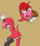  knuckles_the_echidna lara-su sonic_team tagme the_other_half 