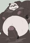  2026 anthro armpit_hair balls bear belly biceps big_belly big_muscles black_body black_fur bodily_fluids body_hair digital_media_(artwork) dreamworks fu8657 fur genitals giant_panda glans green_eyes hi_res huge_muscles humanoid_genitalia humanoid_penis hyper hyper_muscles kung_fu_panda li_shan_(kung_fu_panda) looking_at_viewer male mammal multicolored_body multicolored_fur muscular muscular_anthro muscular_male musk musk_cloud musky_body nipples overweight overweight_anthro overweight_male pecs penis pubes solo sweat thick_thighs two_tone_body two_tone_fur underbite white_body white_fur 