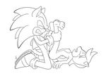  sonia_acorn sonic_team sonic_the_hedgehog tagme the_other_half 
