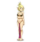  animoose cra evangelyne tagme wakfu 