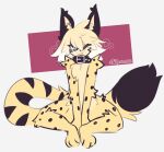 2026 anthro arm_tuft big_tail caeleste chest_tuft collar collar_only felid feline fur hi_res inner_ear_fluff looking_at_viewer male male_anthro mammal markings niles_(caeleste) nude serval shoulder_tuft sitting smile solo spots spotted_body spotted_fur tail tongue tongue_out tuft