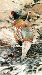 2013 acrylic_painting_(artwork) avian bird black_markings brown_body brown_feathers common_pheasant feathers feral galliform leaf markings multicolored_body multicolored_feathers painting_(artwork) phasianid pheasant renum63 solo stick tan_body tan_feathers teal_body teal_feathers traditional_media_(artwork) traditional_painting_(artwork) white_body white_feathers white_markings yellow_body yellow_feathers