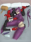  batman catwoman dc harley_quinn ralphieboy 