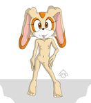  cream_the_rabbit sonic_team tagme that_smeargle 