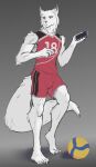 anthro athletic athletic_anthro athletic_male athletic_wear ball bottomwear canid canine canis cellphone claws clothed clothed_anthro clothed_male clothing ear_piercing ear_ring electronics feet finger_claws fingers fluffy fluffy_tail front_view frown fur gradient_background gym_bottomwear gym_shorts haruki_koizumi hi_res holding_cellphone holding_object holding_phone holding_smartphone humanoid_feet humanoid_hands long_tail looking_aside low-angle_view male mammal phone piercing plantigrade red_bottomwear red_clothing red_shirt red_shorts red_tank_top red_topwear reedeer ring_piercing shadow shirt shorts simple_background smartphone solo standing tail tank_top tennis_ace toe_claws toes topwear white_body white_fur wolf yellow_eyes