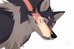 2026 3:2 ambiguous_gender azzai azzai_wanderia_(azzai) black_eyebrows black_nose blue_eyes canid canine canis colored colored_sketch digital_drawing_(artwork) digital_media_(artwork) eyebrows feral fur grey_body grey_fur heterochromia mammal orange_eyes quadruped shaded simple_background sketch snout solo tan_body tan_fur wet wet_body wet_fur white_background wolf