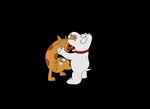  brian_griffin catdog crossover family_guy tagme 