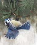 2014 artrage_(artwork) avian bird black_eyes black_markings blue_body blue_feathers branch digital_media_(artwork) eurasian_blue_tit evergreen_tree feathers feral markings multicolored_body multicolored_feathers on_branch oscine passerine pine_tree plant renum63 solo spread_wings tan_body tan_feathers tit_(bird) tree white_body white_feathers wings
