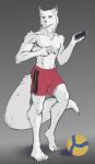 abs anthro areola athletic athletic_anthro athletic_male athletic_wear ball biped bottomwear canid canine canis cellphone claws clothed clothing ear_piercing ear_ring electronics feet finger_claws fingers fluffy fluffy_tail front_view frown fur gradient_background gym_bottomwear gym_shorts haruki_koizumi hi_res holding_cellphone holding_object holding_phone holding_smartphone humanoid_feet humanoid_hands long_tail looking_aside low-angle_view male mammal nipples pecs phone piercing plantigrade red_bottomwear red_clothing red_shorts reedeer ring_piercing shadow shorts simple_background smartphone solo standing tail tennis_ace toe_claws toes topless topless_anthro topless_male white_body white_fur wolf yellow_eyes