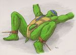  leonardo tagme teenage_mutant_ninja_turtles 