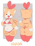  1girl absurdres animal_ears ass belly bikini border breasts cat cat_ears cat_girl cat_tail commentary curvy deformed dual_persona fang furry furry_female grey_background highres large_breasts orange_fur original plump red_bikini seuppi swimsuit tail thighhighs thong thong_bikini white_border wide_hips 