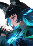  1girl animal_ear_fluff animal_ears black_hair black_necktie blue_hair closed_mouth commentary_request fox_ears fox_girl highres holding holding_sword holding_weapon hoshimi_miyabi katana long_hair necktie red_eyes shirt simple_background solo sword upper_body walk43049101art weapon white_background white_shirt zenless_zone_zero 