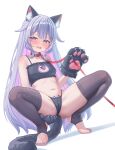  1girl absurdres alternate_costume animal_costume animal_ear_fluff animal_ears animal_hands black_bra black_gloves black_panties black_tail blush bra cameltoe cat_cutout cat_ear_panties cat_ears cat_lingerie cat_tail center-flap_bangs chest_jewel cleavage_cutout clothing_cutout colored_inner_hair commentary commission embarrassed english_commentary fpvjoe frilled_bra frills furrowed_brow gem gloves grey_hair hair_flaps half-closed_eyes hand_on_own_ass hand_up highres hololive hololive_english jewel_under_eye koseki_bijou leash long_hair looking_at_viewer multicolored_eyes multicolored_hair nail_polish navel open_mouth panties paw_gloves pink_eyes purple_eyes purple_gem purple_hair purple_nails simple_background solo spaghetti_strap spread_legs squatting stirrup_legwear tail tiptoes toeless_legwear toenail_polish toenails twitter_username two-tone_eyes underwear very_long_hair virtual_youtuber watermark white_background 