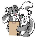 1:1 affectionate ambiguous_gender anthro big_tail box cardboard cardboard_box changed_(video_game) cheek_lick chest_tuft container crotch_tuft dragontim duo ear_tuft eyebrows face_lick felid fur fur_markings green_pupils grey_body hair happy head_tuft inside_box leopard_(changed) leopard_spots licking mammal markings neck_tuft one_eye_closed open_mouth pantherine pink_tongue pupils simple_background simple_mouth simple_nose snow_leopard spots standing tail tongue tuft white_background white_hair white_sclera