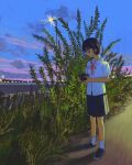  1girl black_hair black_skirt camera cloud collared_shirt commentary full_body grass highres holding holding_camera neck_ribbon original outdoors plant pleated_skirt realyangtuo red_ribbon ribbon school_uniform shirt shoes short_hair short_sleeves skirt sky slice_of_life socks solo standing white_shirt white_socks 