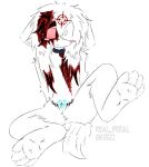absurd_res ambiguous_gender andromorph_(lore) anthro blood blood_in_hair blood_on_chest blood_on_face bloodshot_eye blush blush_stickers bodily_fluids chest_tuft collar confusion crotch_tuft feet_up felid feline floppy_ears fluffy_feet fur hair hi_res innocent_expression lazy_eye mammal preychan rabbit_feet raised_leg real_feral shock_collar short_tail sitting sitting_on_ground sketch solo spread_legs spreading sticker tail tomboyish_sidetails tuft white_body white_fur white_hair