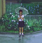  1girl ankle_socks bag black_hair black_sailor_collar black_shoes black_skirt blue_flower blush brown_eyes building chinese_commentary closed_mouth collared_shirt commentary_request fence flower foliage full_body highres holding holding_umbrella hydrangea looking_at_viewer mary_janes neckerchief original outdoors plant pleated_skirt purple_flower realyangtuo red_neckerchief road sailor_collar school_bag school_uniform serafuku shirt shoes short_hair short_sleeves skirt slice_of_life socks solo street transparent transparent_umbrella umbrella water_drop white_flower white_shirt white_socks 