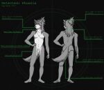 anthro canid canine canis english_text falltothesun front_view fur genital_piercing genitals grey_body grey_fur hair hi_res long_hair male mammal model_sheet nude nude_anthro penis penis_piercing piercing rear_view scar solo standing text wolf