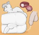 after_sex anal_impregnation anal_uterus anthro anus balls bat bedroom_eyes big_balls big_butt blush bodily_fluids butt cum cum_in_ass cum_in_uterus cum_inside cum_string cum_trail derskz digital_media_(artwork) duo fangs flaccid flying_fox foreskin fur genital_fluids genitals grey_body grey_fur hair hair_bun heart_symbol hi_res human human_on_anthro humanoid_genitalia humanoid_penis impregnation internal interspecies interspecies_impregnation kaz_(derskz) light_body light_skin looking_at_viewer lying male male/male male_impregnation mammal megabat narrowed_eyes nude nude_anthro on_side orange_background ovum ovum_with_heart partially_retracted_foreskin pattern_background penis pink_anus presenting presenting_hindquarters seductive simple_background slim sperm_cell teeth unretracted_foreskin uterus