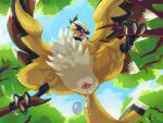 4_toes ambiguous_gender animal_genitalia anisodactyl beakon bodily_fluids cloaca cloaca_juice feathers feet feral genital_fluids genitals hi_res looking_at_viewer looking_down looking_down_at_viewer low-angle_view mythil_flower pal_(species) palworld pocketpair signature solo talons toes worm's-eye_view yellow_body yellow_feathers